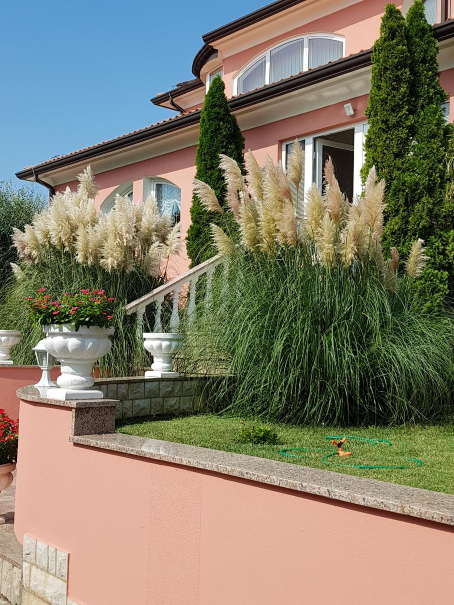 Apartments And Rooms Villa Chiara Krnica Buitenkant foto
